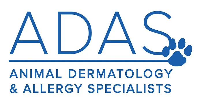 Animal Dermatology Clinic 12