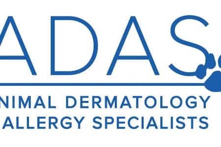 Animal Dermatology Clinic