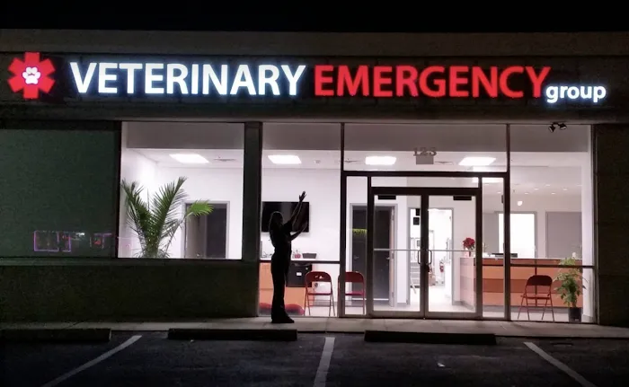 Animal Dermatology Clinic 12