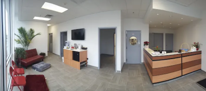 Animal Dermatology Clinic 12