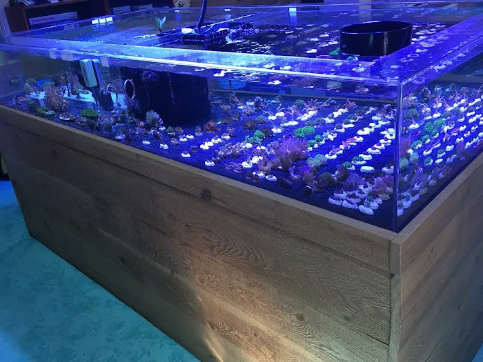 SALTWATER SHACK 12