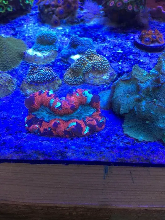 SALTWATER SHACK 12