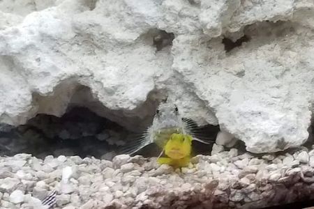 SALTWATER SHACK