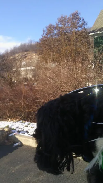 Suffern Animal Hospital 7
