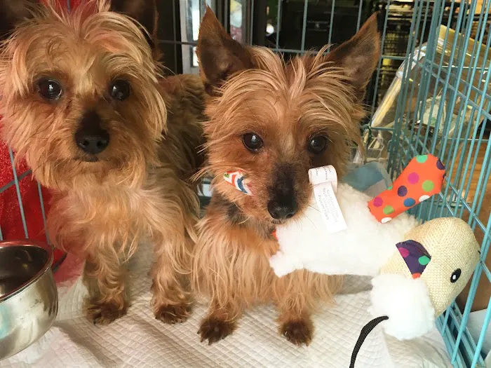 Montvale Animal Hospital 12