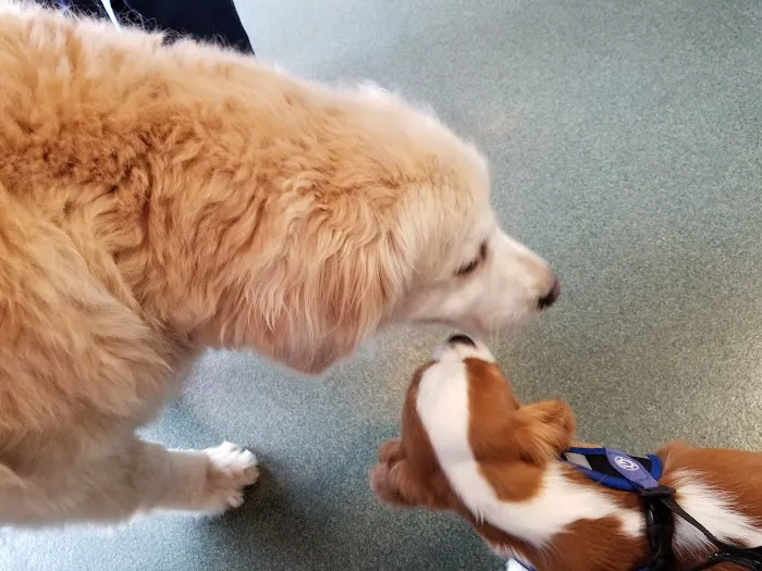 Montvale Animal Hospital 12
