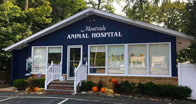 Montvale Animal Hospital 12