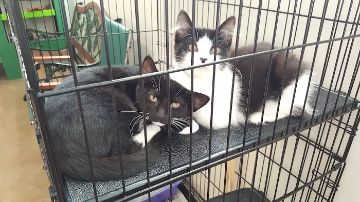 Spring Valley Animal Hospital 1