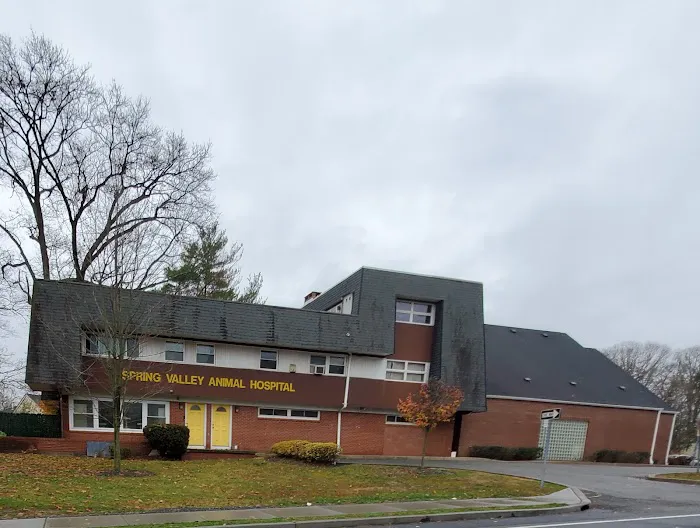 Spring Valley Animal Hospital 4