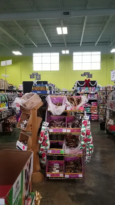 Animart Pet Store 12