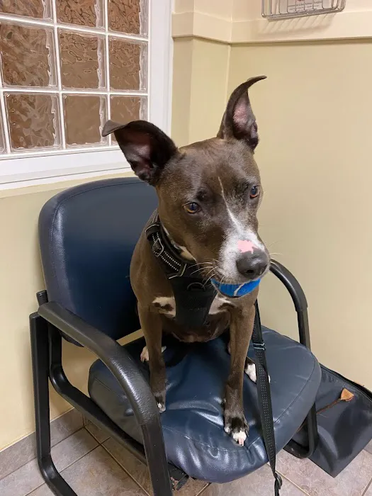Greenwood Lake Animal Hospital 12
