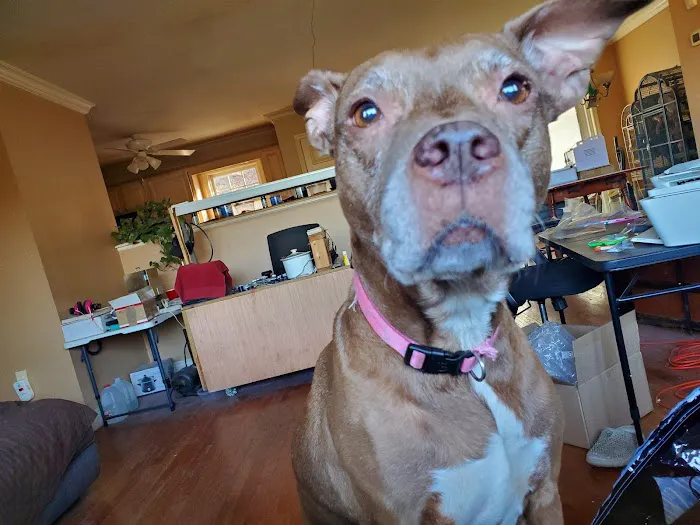 Greenwood Lake Animal Hospital 12