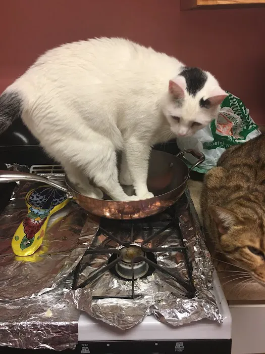 Greenwood Lake Animal Hospital: Goldstein Bennett DVM 12