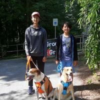 Orchard Grove Animal Hospital ico