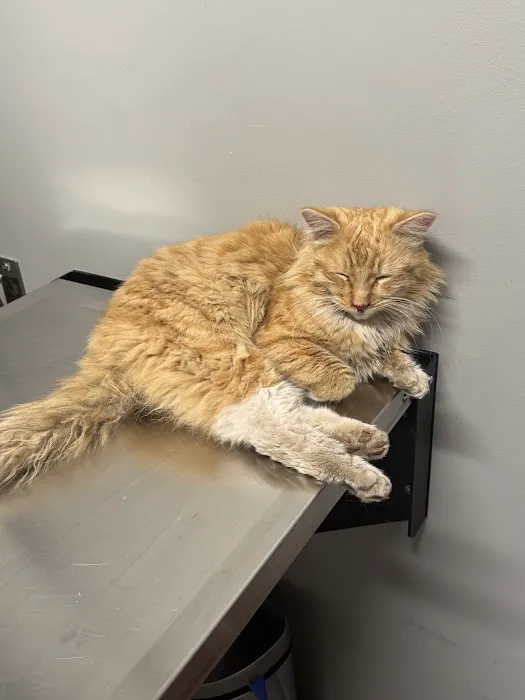 Vernon Veterinary Clinic 12