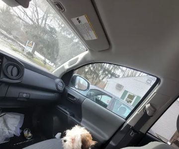 Vernon Veterinary Clinic