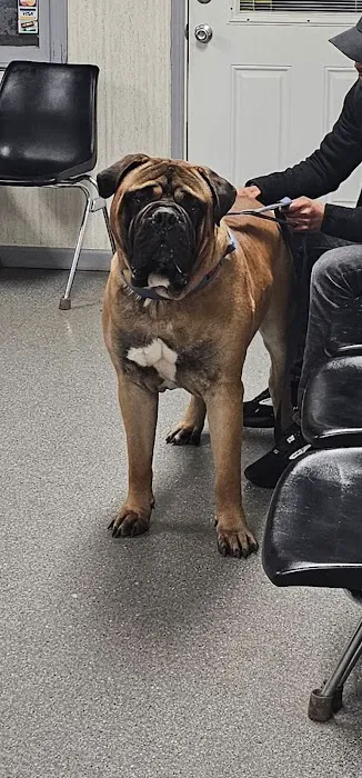 Vernon Veterinary Clinic 12