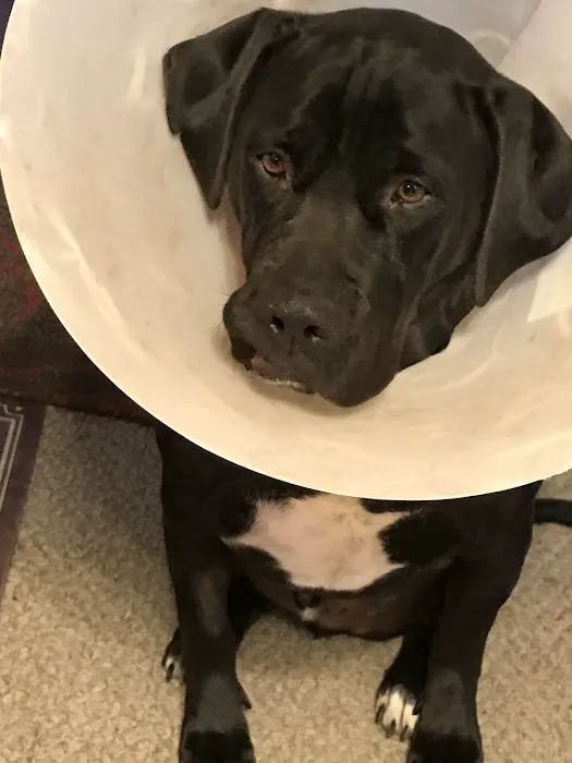 Vernon Veterinary Clinic 12