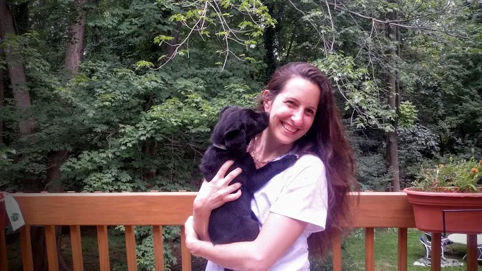 Jockey Hollow Veterinary Practice 4
