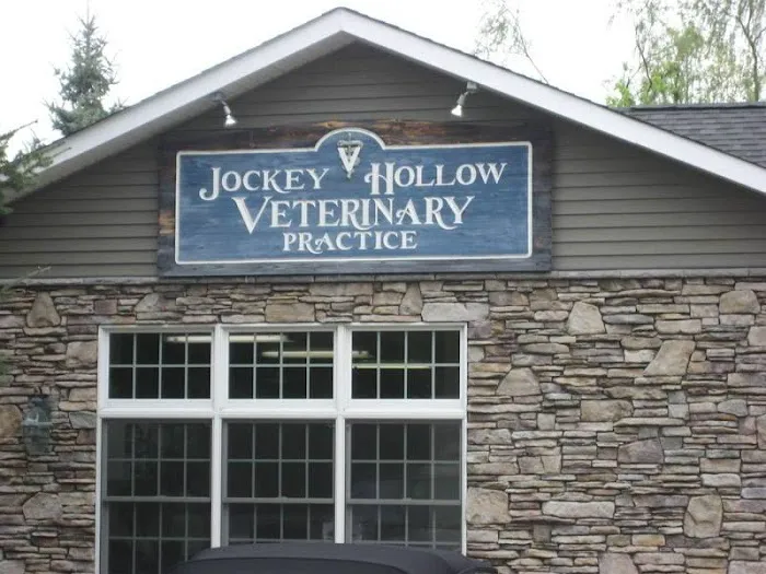 Jockey Hollow Veterinary Practice 8