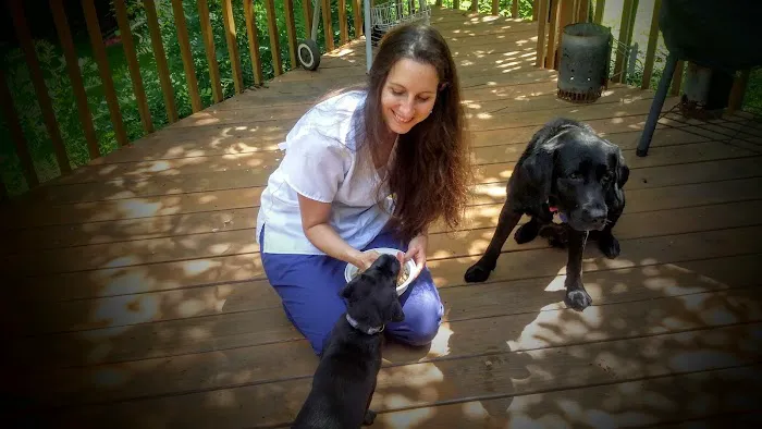 Jockey Hollow Veterinary Practice 5