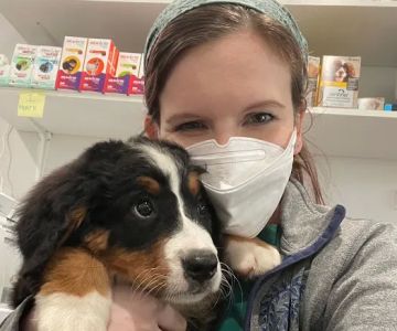 Country Willow Veterinary Hospital