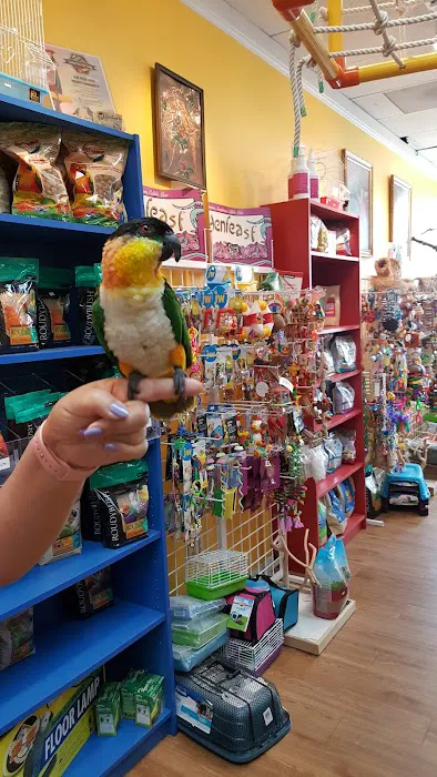 Inca's Secret Parrot & Bird Toys/Boarding 4