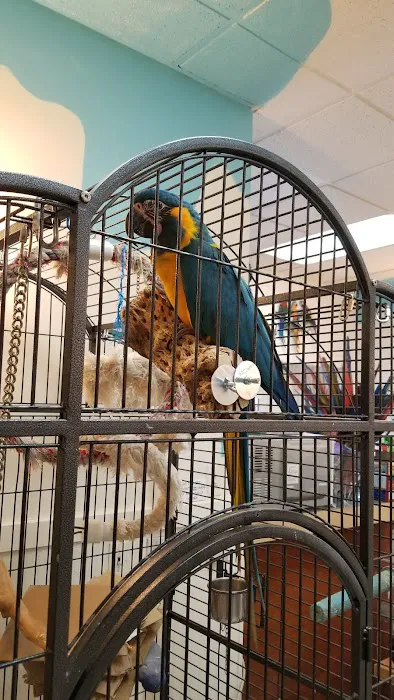 Inca's Secret Parrot & Bird Toys/Boarding 3