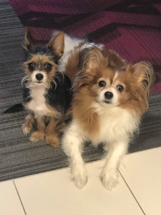 Bloomfield Animal Clinic, Dr. J Felix Escudero, DVM 12