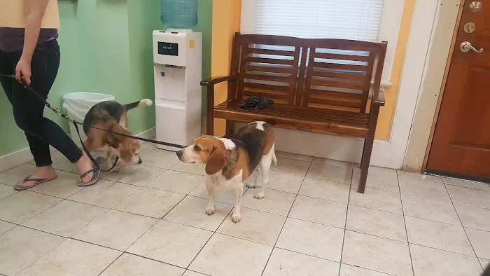 Bloomfield Animal Clinic, Dr. J Felix Escudero, DVM 12