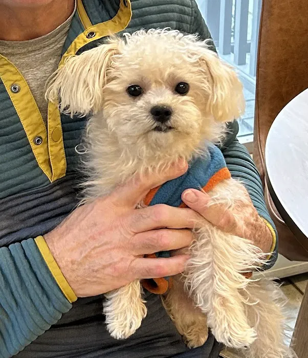 Bond Vet - Paramus 12