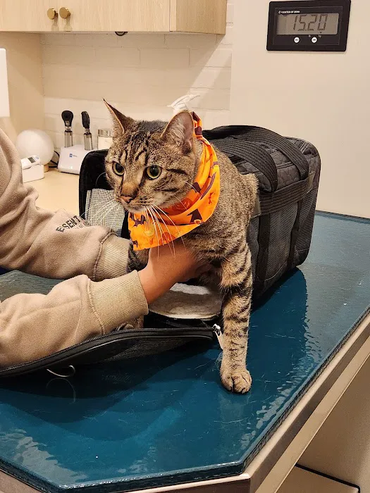 Bond Vet - Paramus 12