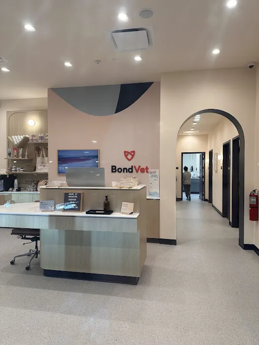 Bond Vet - Paramus 12