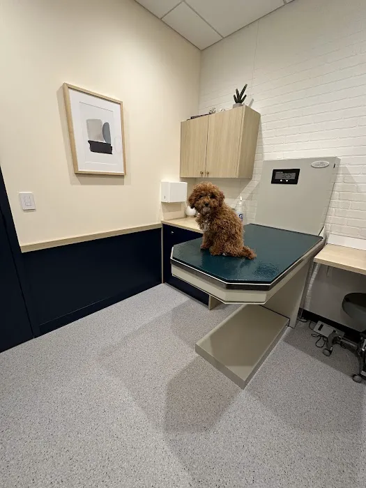 Bond Vet - Paramus 12