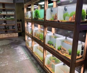 Barrier Reef Aquariums