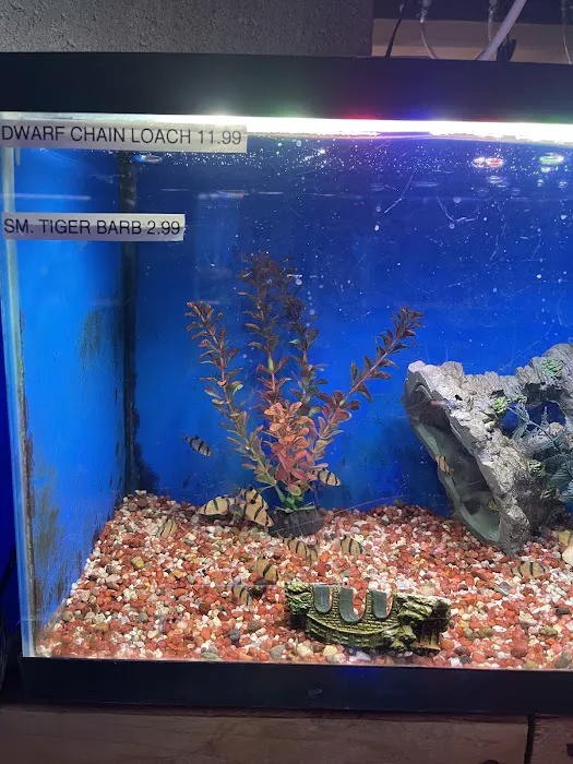 Midway Tropical Fish & Pets 5
