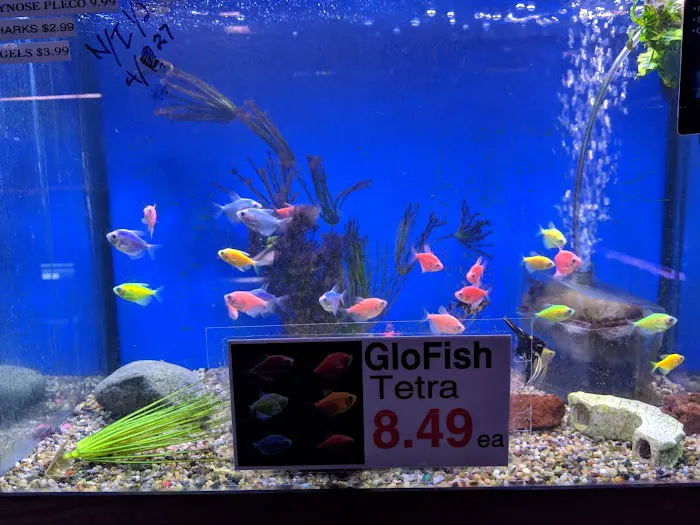 Midway Tropical Fish & Pets 4