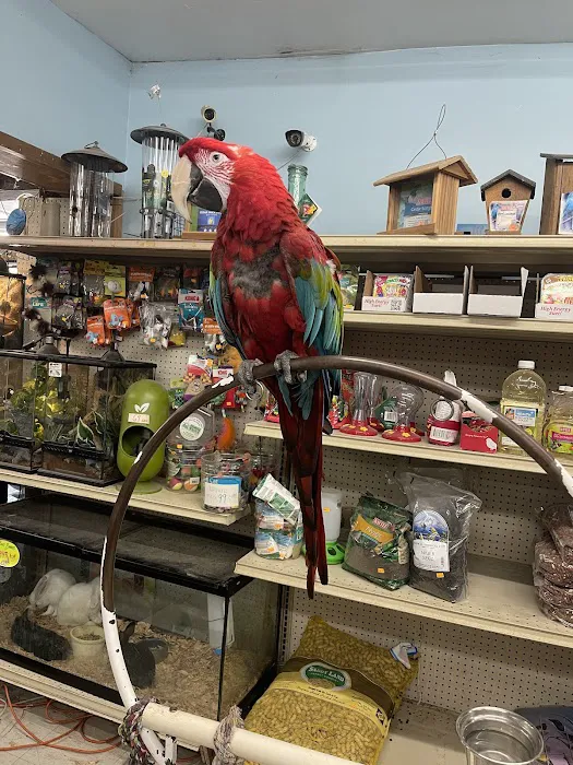 Midway Tropical Fish & Pets 7