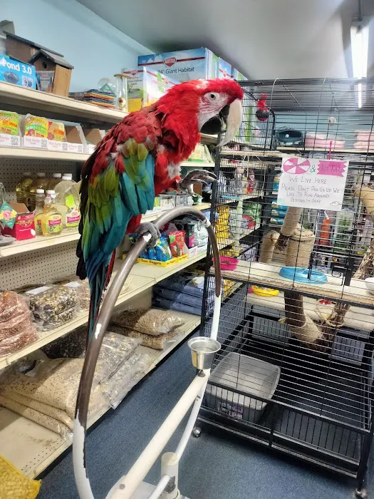 Midway Tropical Fish & Pets 6