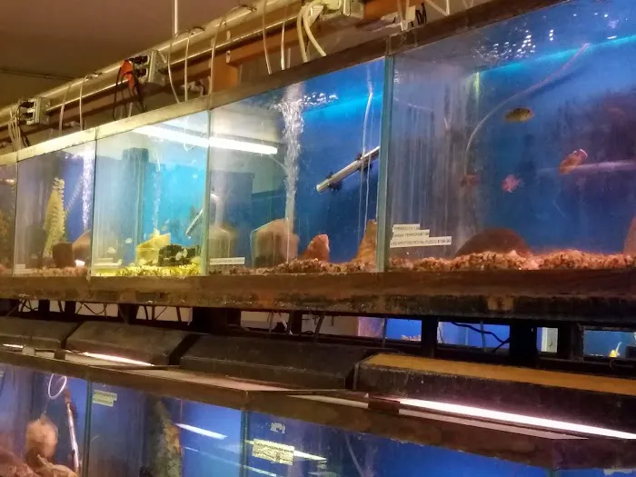 Midway Tropical Fish & Pets 3
