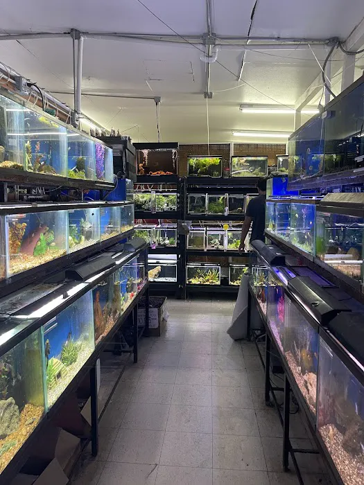 Midway Tropical Fish & Pets 8