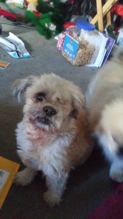 Emerson Animal Hospital 12