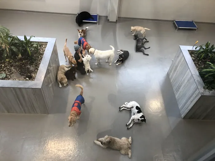 Westwood Regional Veterinary Hospital 12