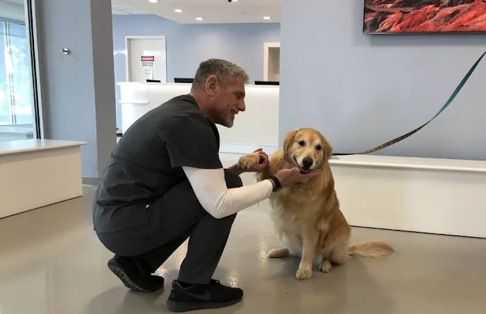 Westwood Regional Veterinary Hospital 12