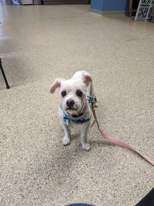 Maywood Veterinary Clinic 12