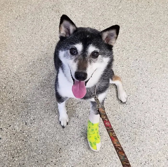 Maywood Veterinary Clinic 12