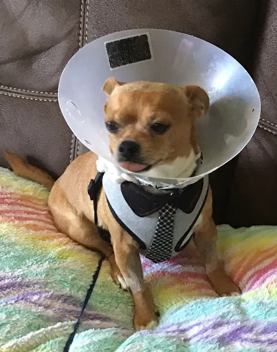 Maywood Veterinary Clinic 12