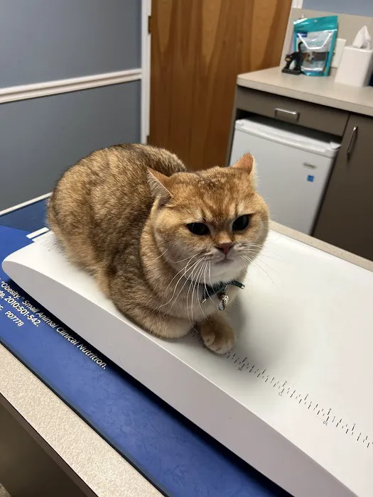 Maywood Veterinary Clinic 12