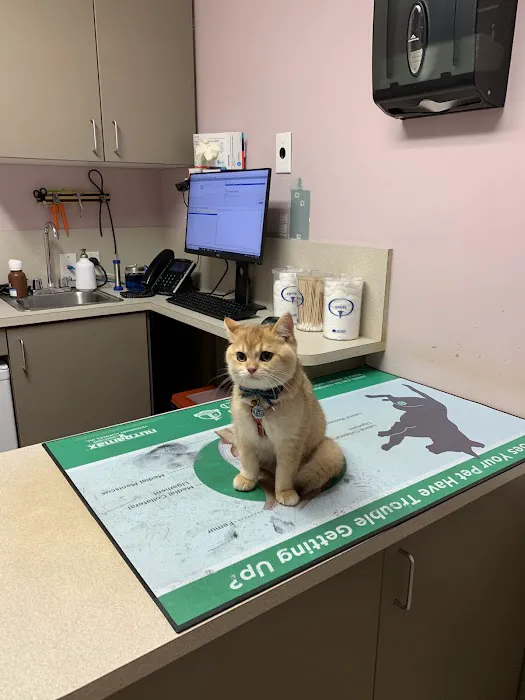 Maywood Veterinary Clinic 12