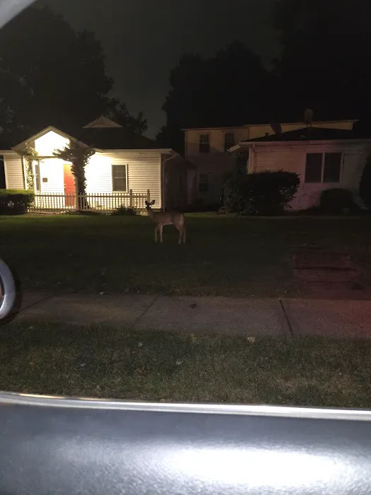 Hillsdale Animal Hospital 12